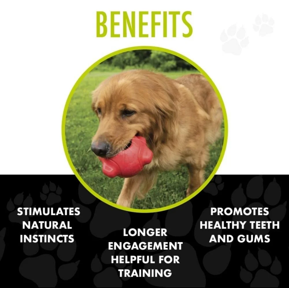 🐶HERO 45-75 LBS NWT 🐶